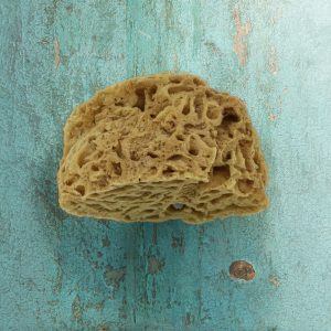 Spugna Naturale del Mediterraneo