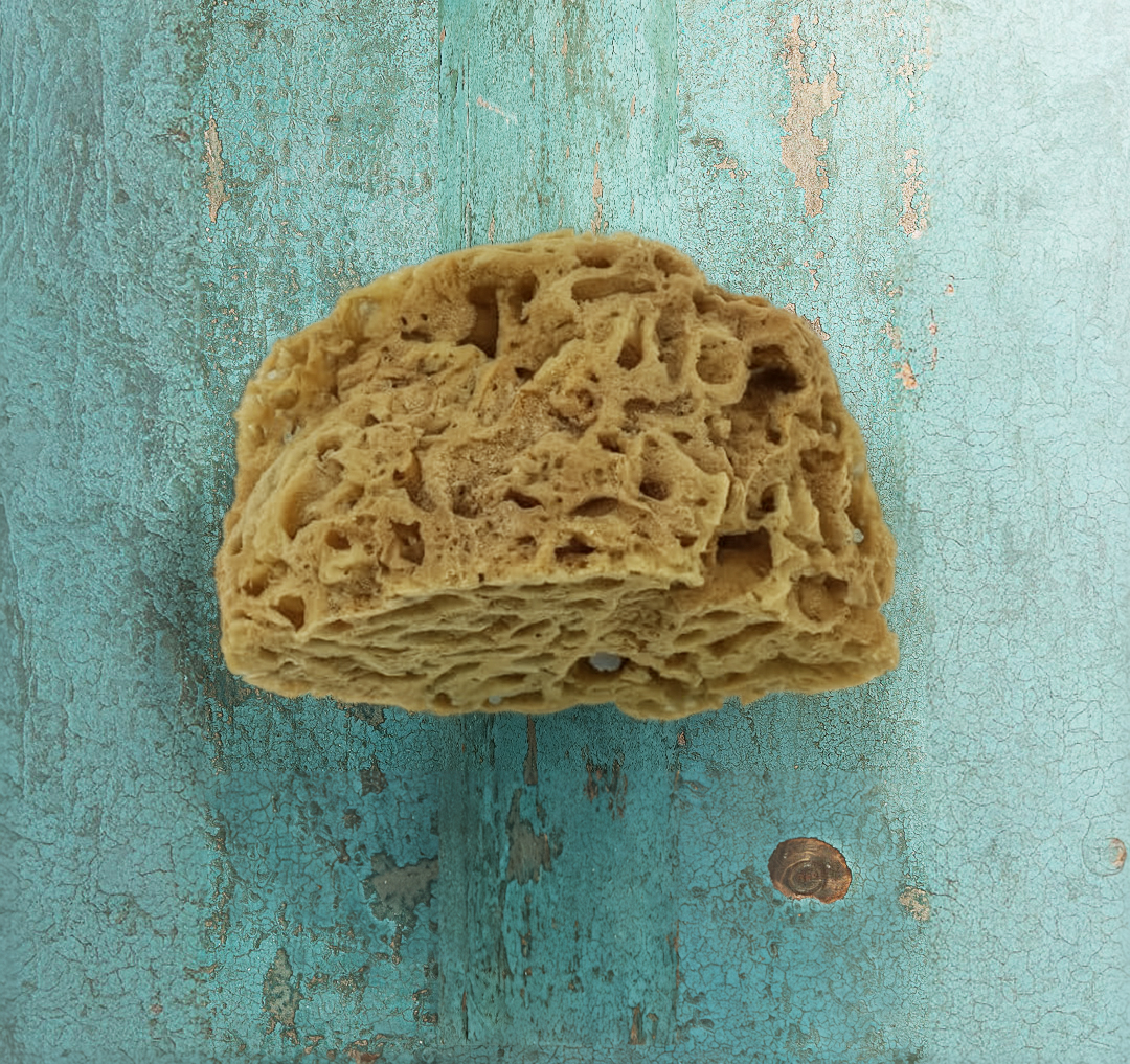 Spugna Naturale del Mediterraneo